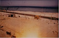 Scan5_0003.jpg