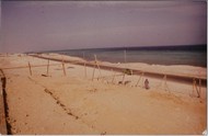 Scan7_0003.jpg