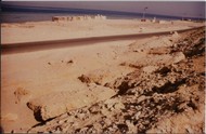 Scan_0004.jpg